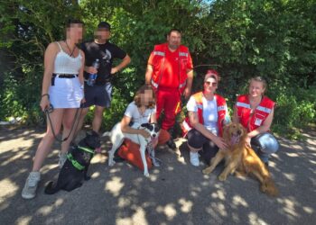 Elf Tage abgängig: Hündin „Cura“ nach intensivem Sucheinsatz in Rüstorf soweit wohlauf gefunden