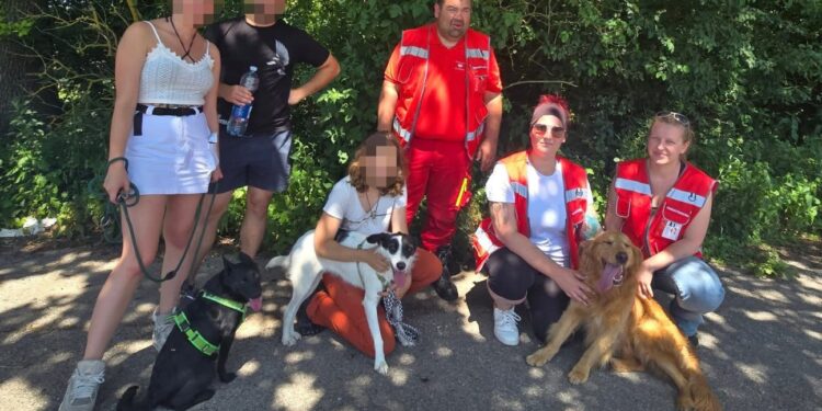 Elf Tage abgängig: Hündin „Cura“ nach intensivem Sucheinsatz in Rüstorf soweit wohlauf gefunden