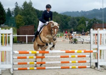 Zweifacher Vize-Landesmeistertitel für den Sportunion Reit-und Fahrverein Gschwandt