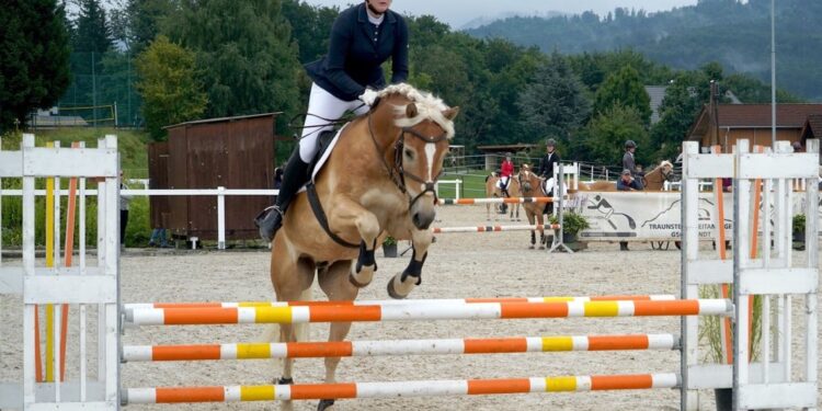 Zweifacher Vize-Landesmeistertitel für den Sportunion Reit-und Fahrverein Gschwandt