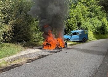 Vermeintlicher Tankstellenbrand entpuppt sich als Fahrzeugbrand