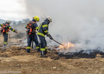 Erster Vegetationsbrandbekämpfungs-Basislehrgang im Bezirk Vöcklabruck abgehalten