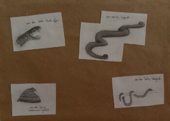 Mein Lieblingstier – Offene Lernaufträge im Kunstunterricht