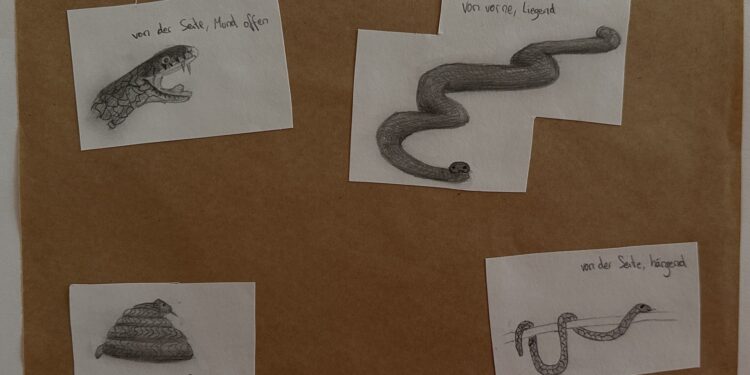 Mein Lieblingstier – Offene Lernaufträge im Kunstunterricht