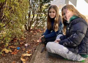 „Projekt Europa – kreativ“ – GewinnerInnen am Gymnasium