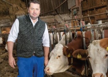 Rinderbranche unter Druck: Freie Bauern OÖ warnen vor US-Übernahmen