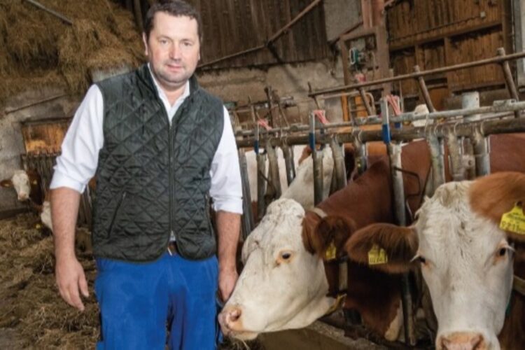 Rinderbranche unter Druck: Freie Bauern OÖ warnen vor US-Übernahmen