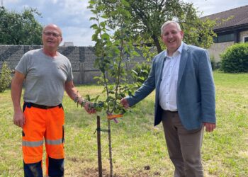Apfelbäumchen als Zeichen der Freundschaft