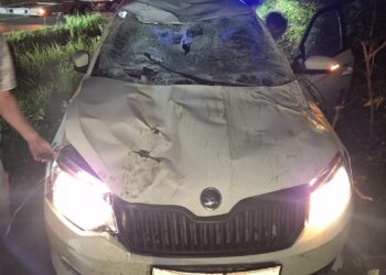 Baum stürzt auf fahrendes Auto in St. Georgen am Attergau