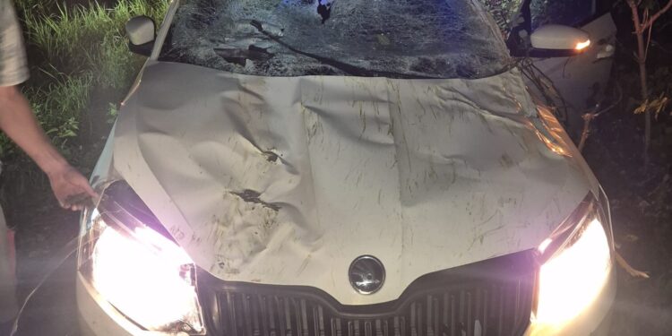 Baum stürzt auf fahrendes Auto in St. Georgen am Attergau