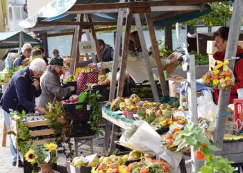 Ernte- & Bauermarkt am 4. Oktober 2025 in Altmünster