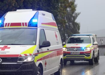 Schwerer Traktorunfall: Traktor mitsamt Holzrückewagen in Kirchham gegen Waldrand geprallt