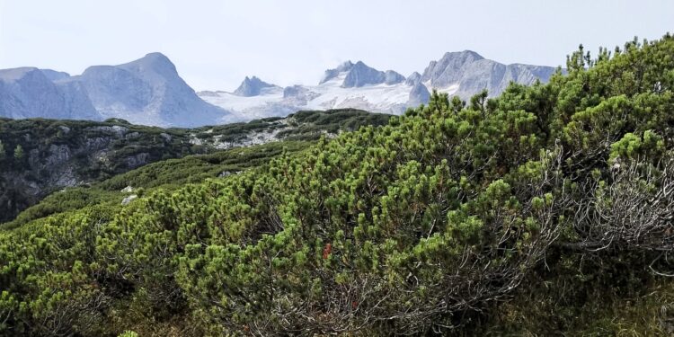 Bei herrlichem Wanderwetter: Bergmesse am Zwölferkogel!