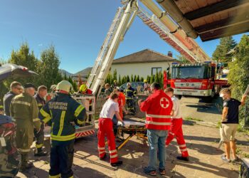Paragleiter stürzt auf Garagendach