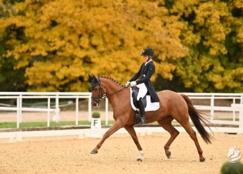 Stefanie Auinger & Dio D’oro für internationale Turniere gesichtet