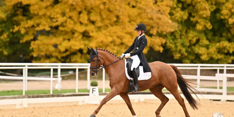 Stefanie Auinger & Dio D’oro für internationale Turniere gesichtet