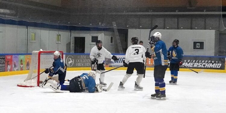 Nach erfolgreicher Testserie beginnt für die Cam4Dent Sharks Gmunden die neue Meisterschaft gleich mit einem Saisonkracher!