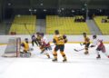 Der Bann ist gebrochen – hart umkämpfter 2:1 Sieg der Cam4Dent Sharks Gmunden gegen WEV Wien!