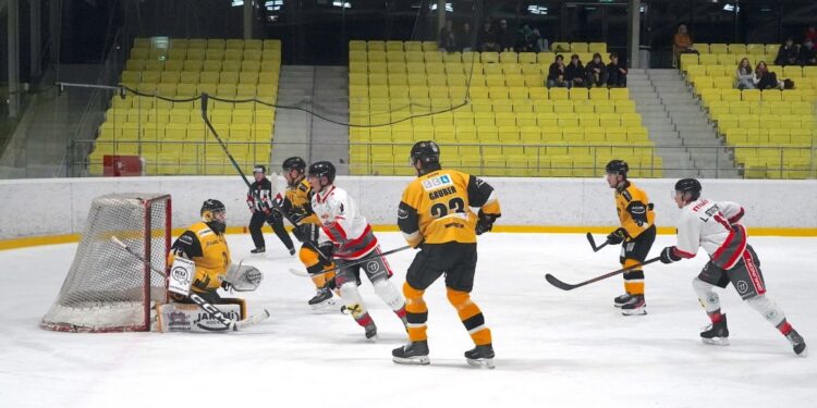Der Bann ist gebrochen – hart umkämpfter 2:1 Sieg der Cam4Dent Sharks Gmunden gegen WEV Wien!