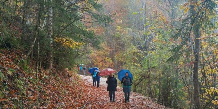Turnverein Gmunden wandert am Nationalfeiertag