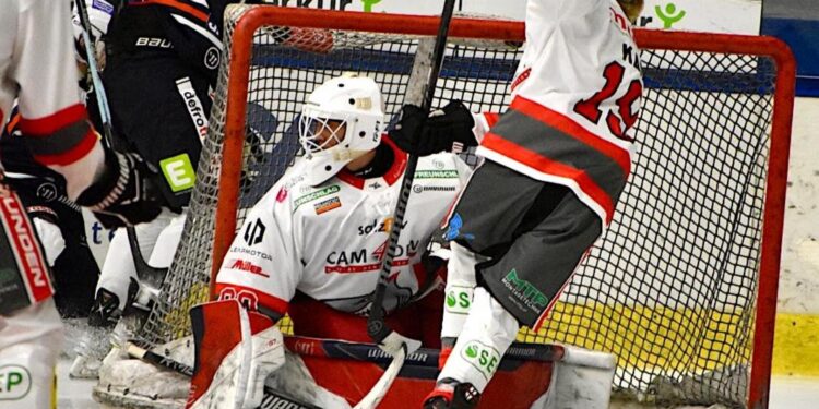 Eishockey Cam4Dent Sharks Gmunden am richtigen Weg!