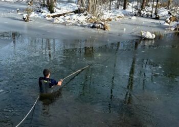 Schwan aus zugefrorenem Almsee gerettet