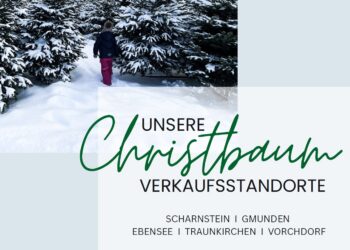 Forsthof Eder: Christbäume aus Tradition