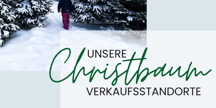 Forsthof Eder: Christbäume aus Tradition