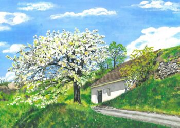 Ausstellung „Im Auge des Betrachters“