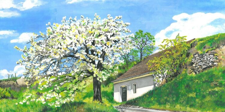 Ausstellung „Im Auge des Betrachters“