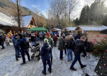 Großer Ansturm beim Adventmarkt im Cumberland Wildpark Grünau