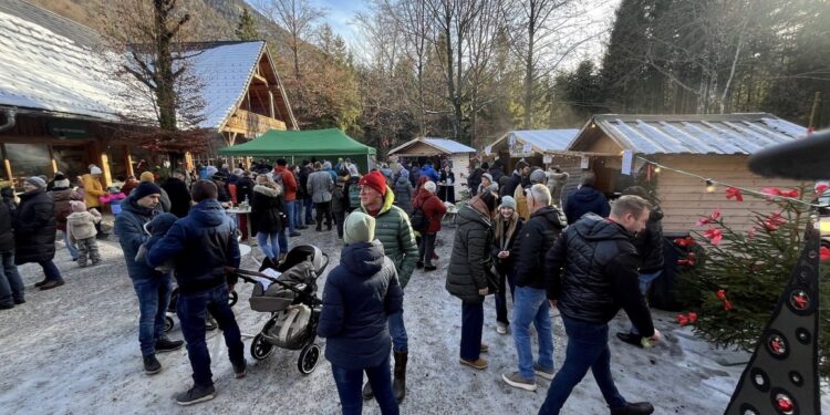 Großer Ansturm beim Adventmarkt im Cumberland Wildpark Grünau