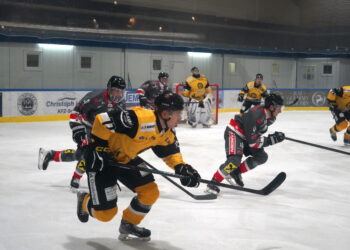 Erste Saisonniederlage der Sharks gegen WEV Wien