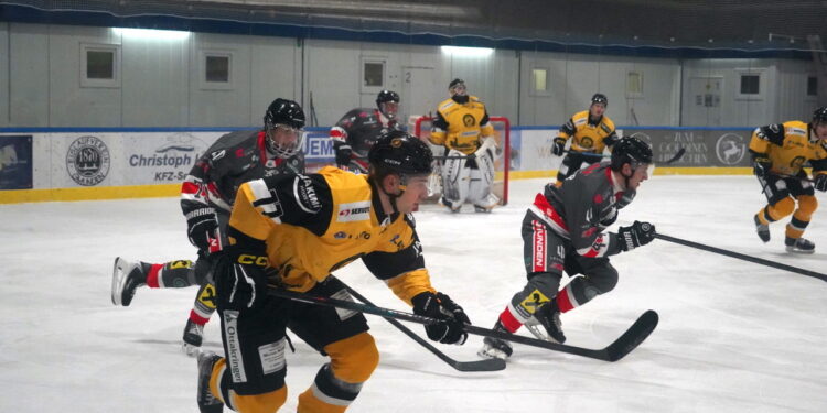 Erste Saisonniederlage der Sharks gegen WEV Wien