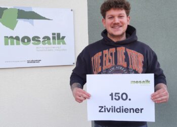 150. Zivildiener im Mosaik