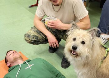 Tiergestützte Pädagogik hautnah erleben