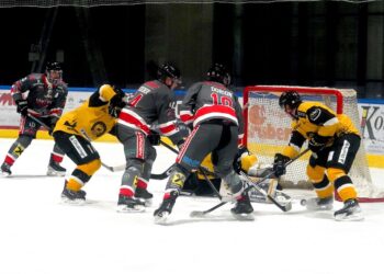 Sharks schlagen Wien mit 3:0 – Showdown um Platz 1!