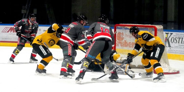 Sharks schlagen Wien mit 3:0 – Showdown um Platz 1!