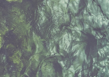 GLÜCKLICHES WASSER – Film-Installation von Michael Wittig