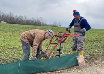 Krötenzaun hilft Amphibien bei der Laichwanderung