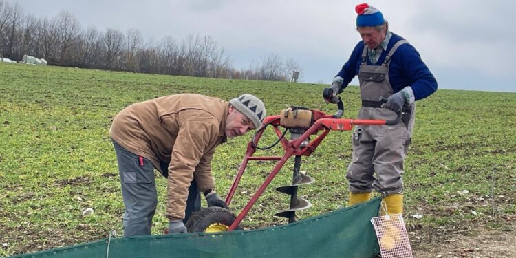 Krötenzaun hilft Amphibien bei der Laichwanderung