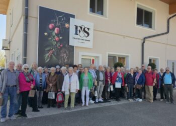 Ebenseer PV auf Genussreise