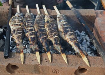 Saisonstart beim Schmankerlmarkt