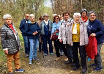 „Warum in die Ferne schweifen, …