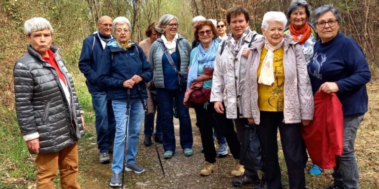 „Warum in die Ferne schweifen, …