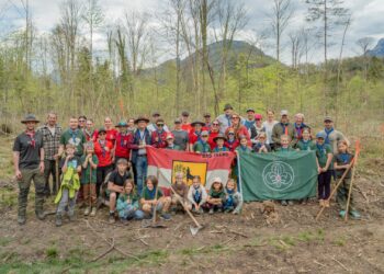 Pfadfinder pflanzen Zukunft: Neuer Wald zwischen Ebensee und Bad Ischl