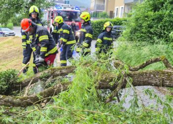 Sturmböen sorgen für mehrere Feuerwehreinsätze in Bad Goisern