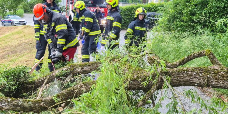 Sturmböen sorgen für mehrere Feuerwehreinsätze in Bad Goisern