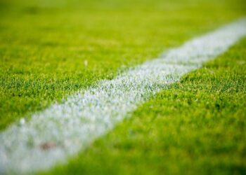grass, lawn, field, sports, soccer, nature, football, green grass, green football, green sports, green field