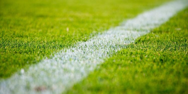 grass, lawn, field, sports, soccer, nature, football, green grass, green football, green sports, green field
